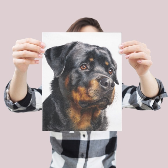 Rottweiler Watercolor Pet Portrait - Dog Wall Art Poster Unframed - Picture 4 of 5
